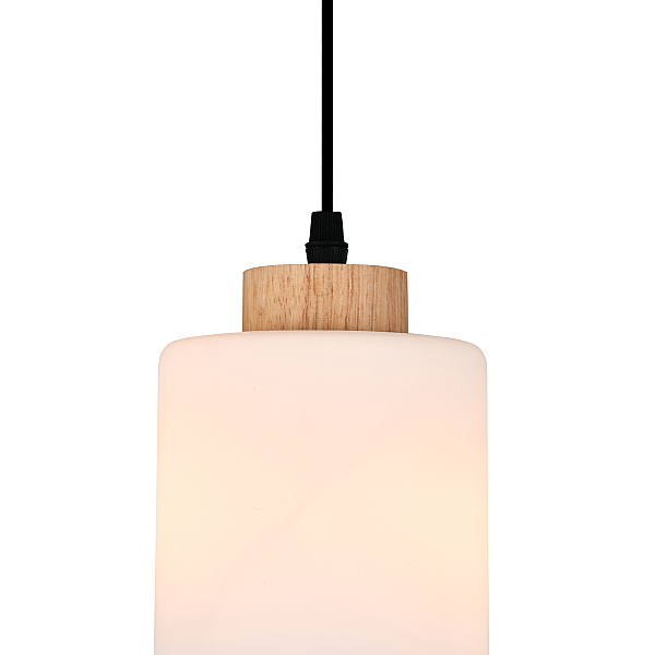 Светильник подвесной Spirit 160002/A/1P E27*60W Black ES0000015