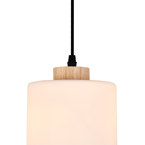 Светильник подвесной Spirit 160002/B/1P E27*60W Black ES0000016