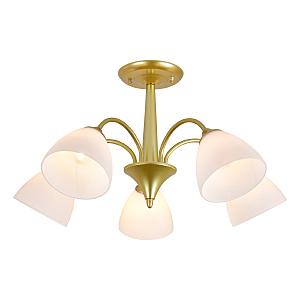 Потолочная люстра Ilex 150003/5R E27*60W Gold ES0000033