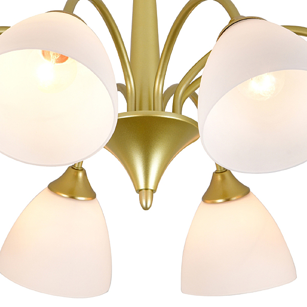 Потолочная люстра Ilex 150003/8R E27*60W Gold ES0000034