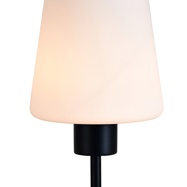 Настольная лампа Clarity 120004/1T E27*60W Black ES0002707