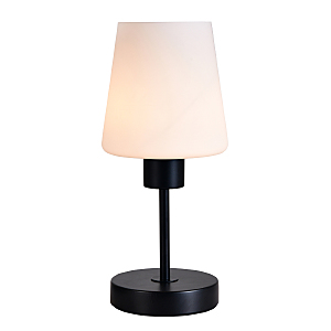 Настольная лампа Clarity 120004/1T E27*60W Black ES0002707
