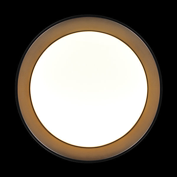 Светильник потолочный Coin 10202 BB