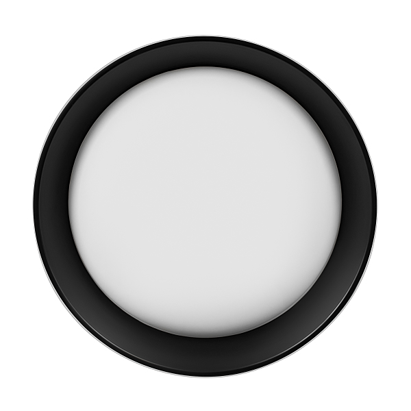Светильник потолочный Coin 10202 WB