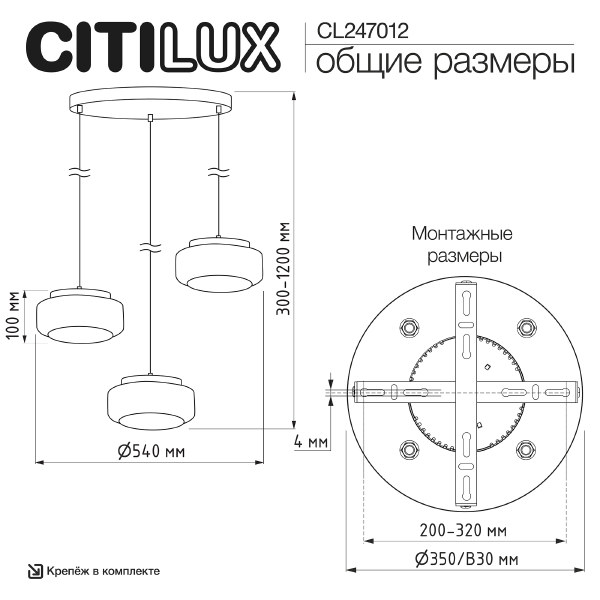 Светильник подвесной Signature CL247012