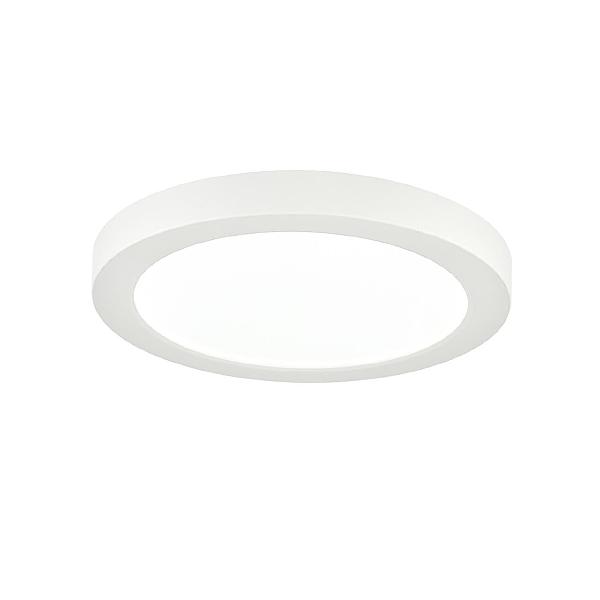Светильник потолочный Nebula White 7790/12L