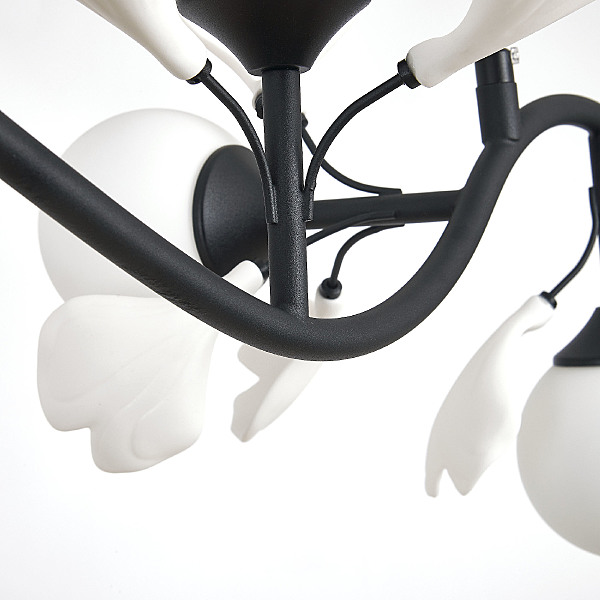 Подвесная люстра Ceramo Bw 799087