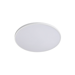 Светильник потолочный Arco Eco 225720