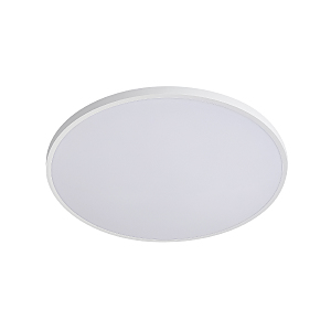 Светильник потолочный Arco Eco 225730