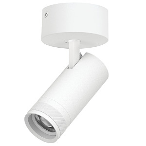 Светильник спот Canno Pro C4206SO