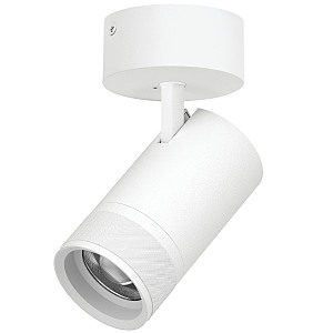 Светильник спот Canno Pro C4406SO