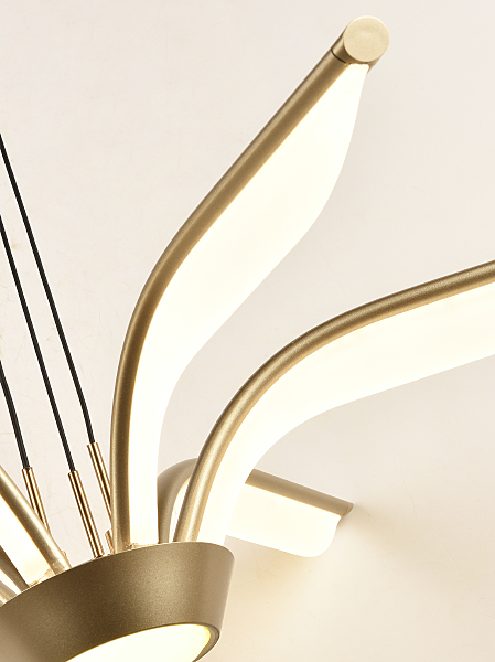 Подвесная люстра Euro HIGH-TECH LED LAMPS 82053