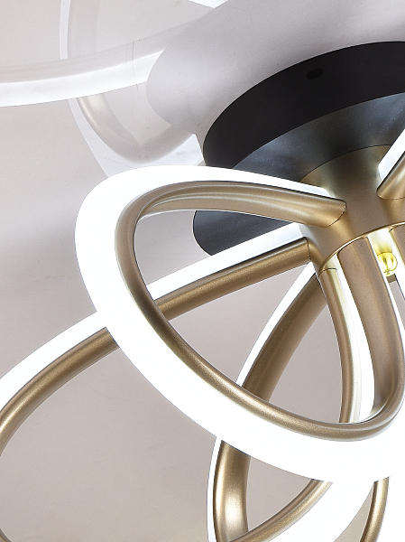 Потолочная люстра Euro HIGH-TECH LED LAMPS 82054