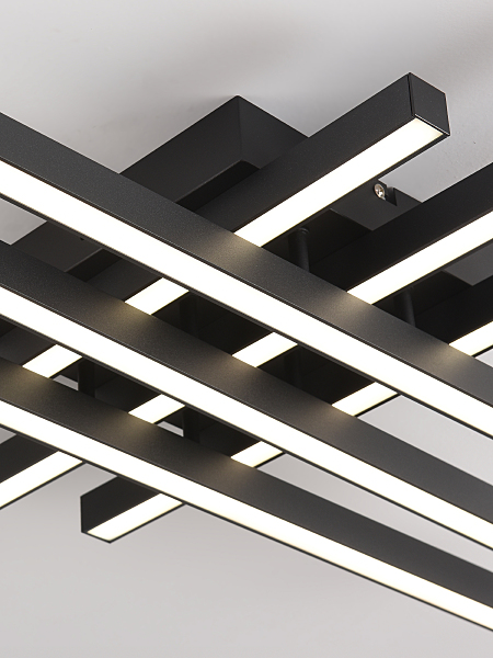 Потолочная люстра Sky Line HIGH-TECH LED LAMPS 82074