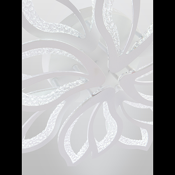 Потолочная люстра Fortuna LED LAMPS 81109/7C