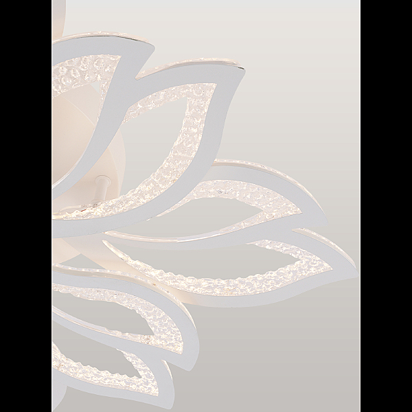 Потолочная люстра Fortuna LED LAMPS 81109/7C