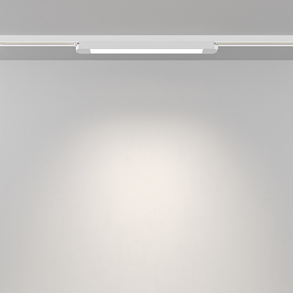 Трековый светильник Basis TR000-1-12W4K-W_1