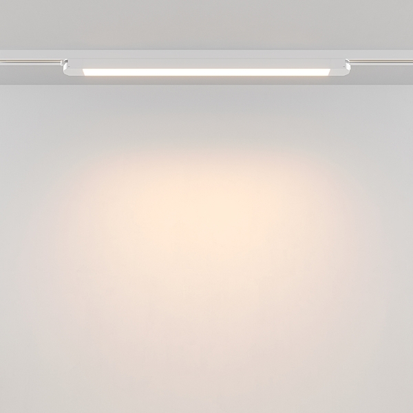 Трековый светильник Basis TR000-1-24W3K-W_1