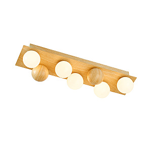 Светильник потолочный Swarm 4695-5C