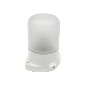 Уличный потолочный светильник Светильник НББ 01-60-101 УХЛ1 53164