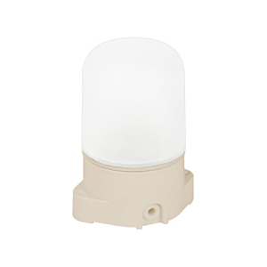 Уличный потолочный светильник НББ 01-60-001 53168