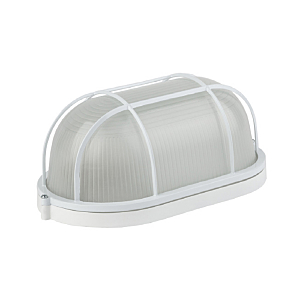 Уличный потолочный светильник НБП 04-60-002 53172