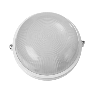 Уличный потолочный светильник НБП 03-100-001 53173