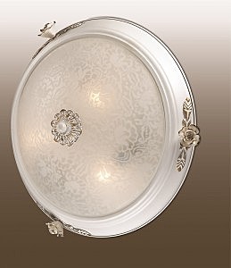 Светильник Odeon Light Bone 2692/3C