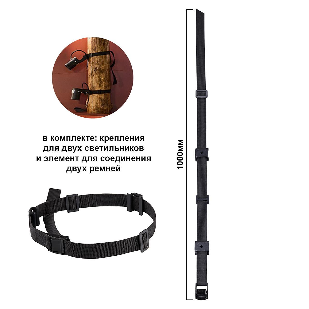 Belt