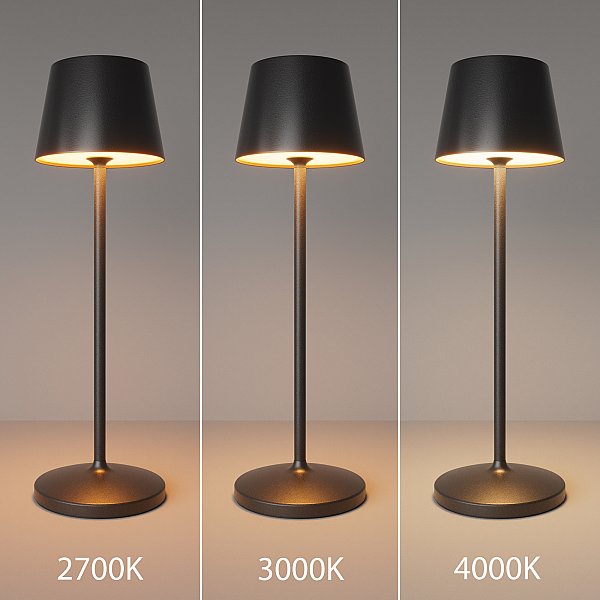 Настольная лампа Nook Maytoni MOD494RL-L1BK