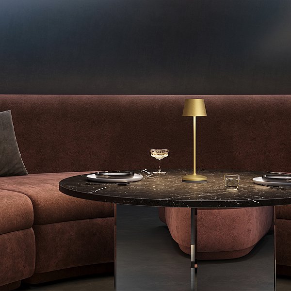 Настольная лампа Nook Maytoni MOD494RL-L1BSK