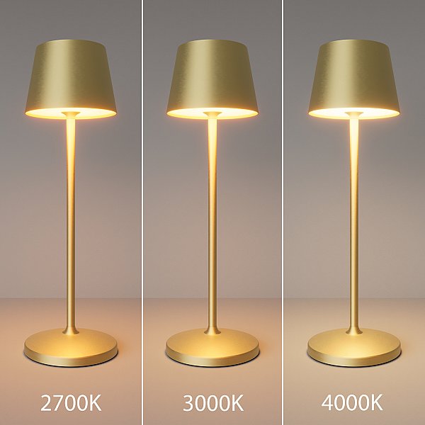 Настольная лампа Nook Maytoni MOD494RL-L1BSK