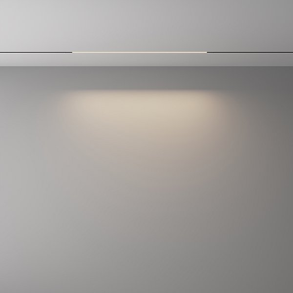 Трековый светильник Basis Maytoni TR240-2-12W4K-B