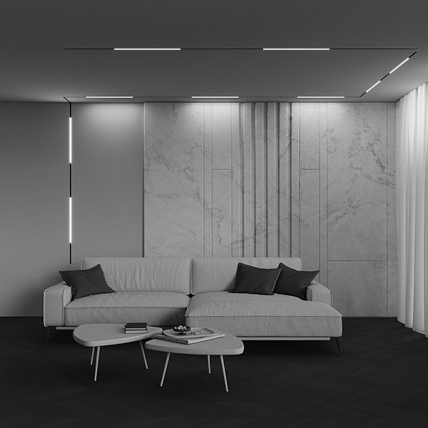 Трековый светильник Basis Maytoni TR240-2-12W4K-B