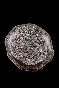 Настенный светильник LEON Magic LE3020/1W BR