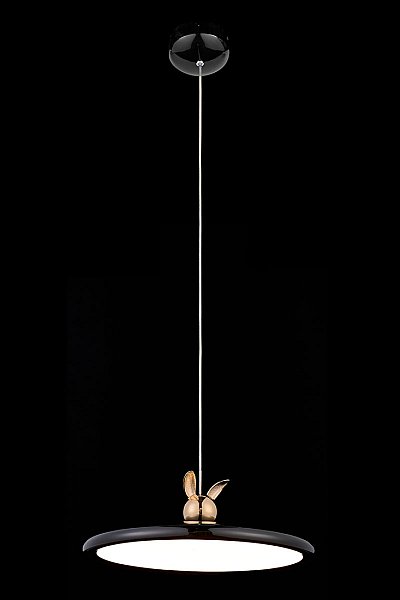 Светильник подвесной LEON Pamela LE7901/1S Black