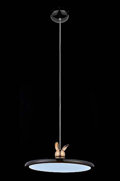 Светильник подвесной LEON Pamela LE7901/1S Black