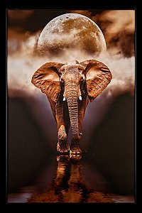 Картина настенная Teona Decor Elephant TD105