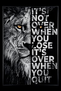 Картина настенная Teona Decor Lion TD112