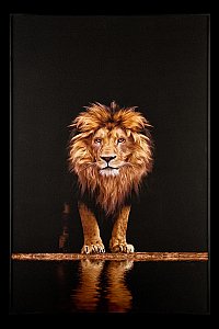 Картина настенная Teona Decor Lion TD142