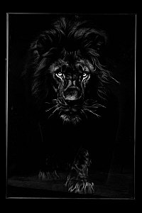 Картина настенная Teona Decor Lion TD168