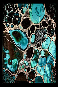 Картина настенная Teona Decor Art TD206