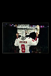 Картина настенная Teona Decor Hockey TD233