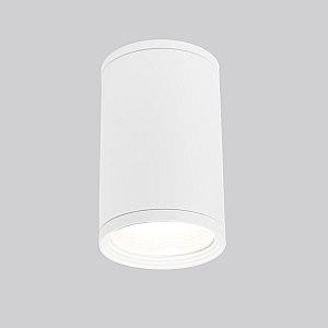 Накладной светильник Elektrostandard Light 2101 Light 2101 (35128/H) белый