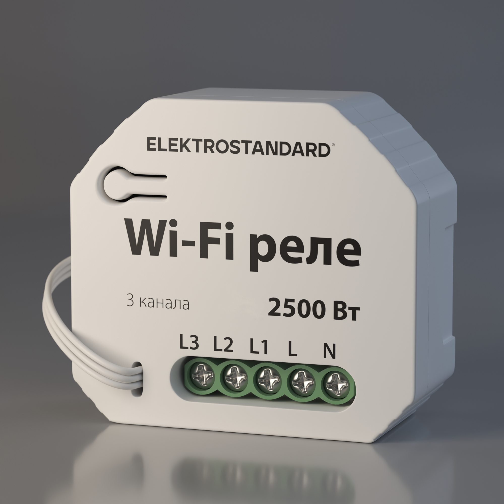 WF