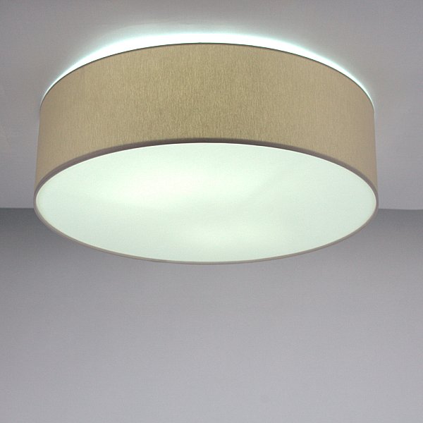 Светильник потолочный LightHall Camerona 65 LH022006