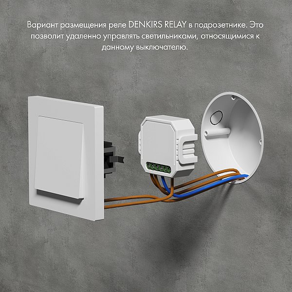 Одноканальное Wi-Fi реле-выключатель Denkirs RL1001-SM