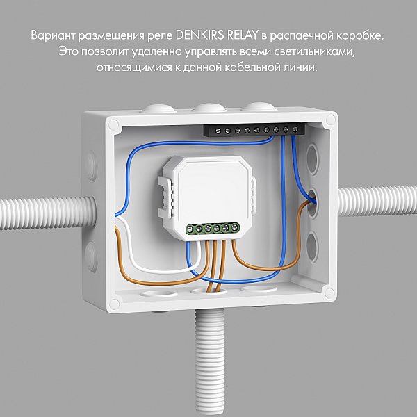 Двухканальное Wi-Fi реле-выключатель Denkirs RL1002-SM