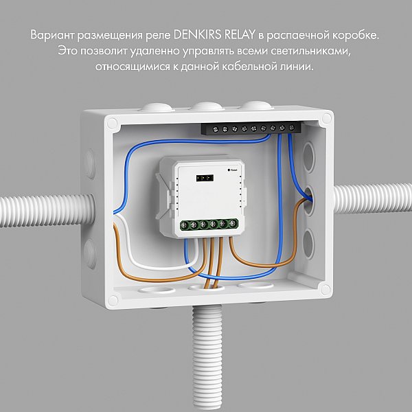 Одноканальное Wi-Fi реле-диммер Denkirs RL1003-DM