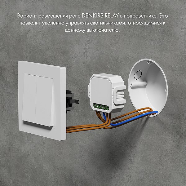 Двухканальное Wi-Fi реле-диммер Denkirs RL1004-DM